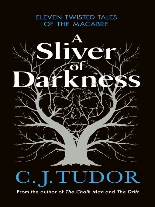 Cover image for A Sliver of Darkness